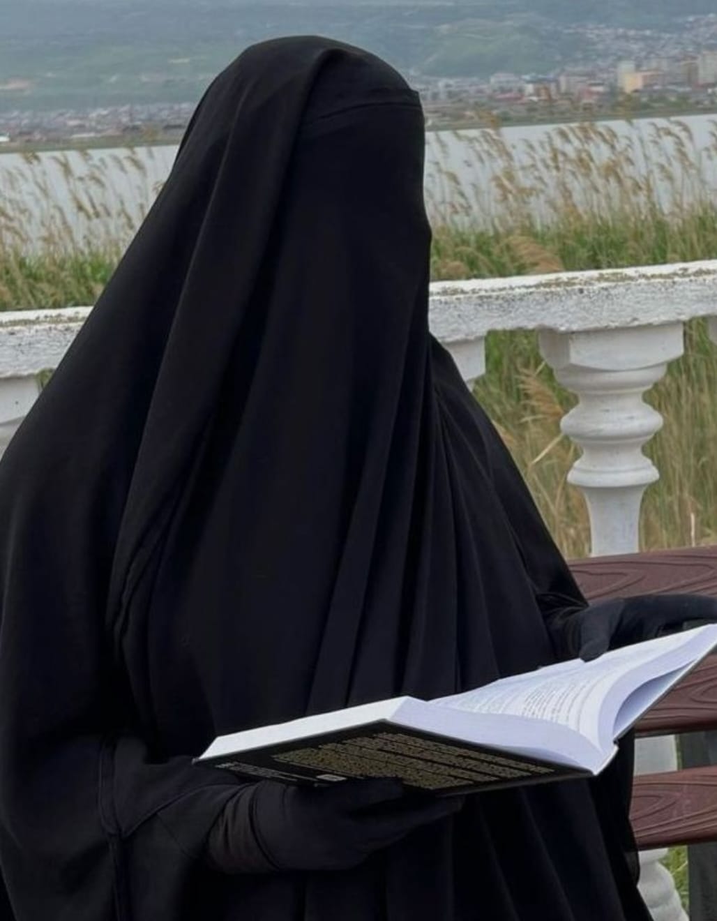 মি. আফরোজা